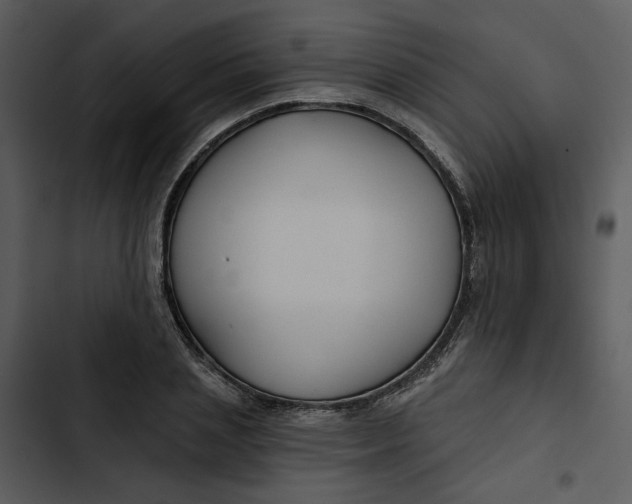 X0000102820837200809081129