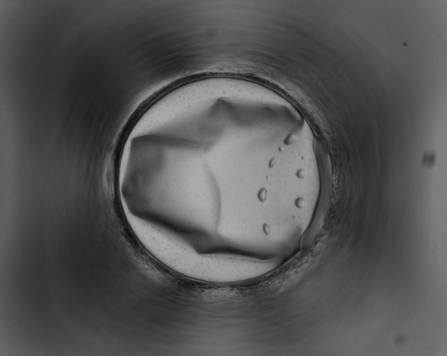 X0000102820838200809081129