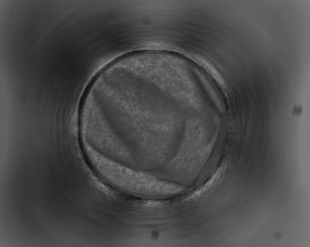 X0000102820839200809081129