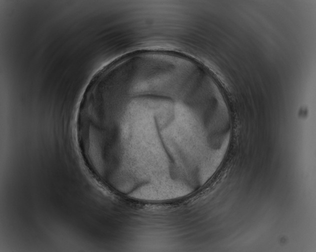 X0000102820840200809081129