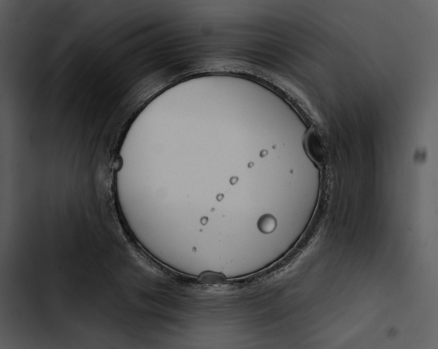 X0000102820841200809081129