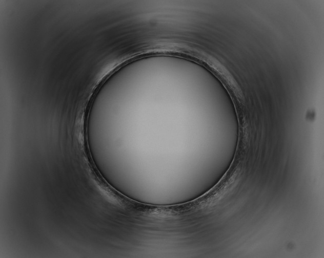 X0000102820842200809081129