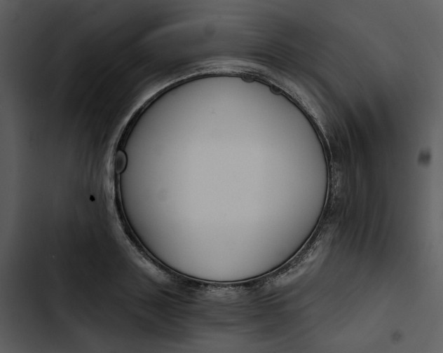 X0000102820843200809081129