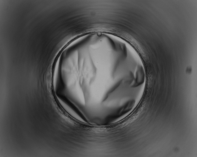 X0000102820844200809081129