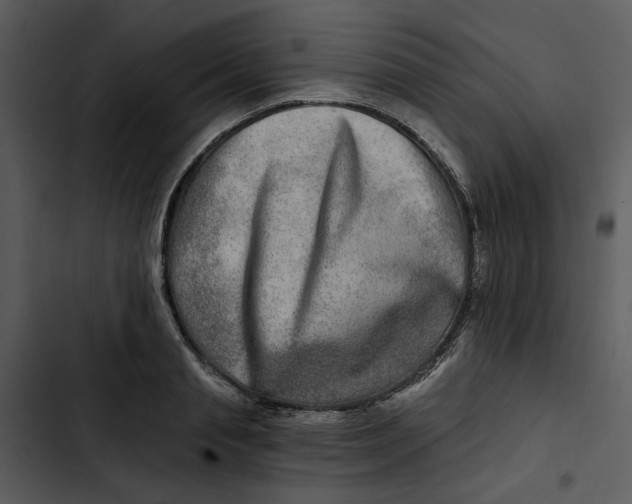 X0000102820845200809081129