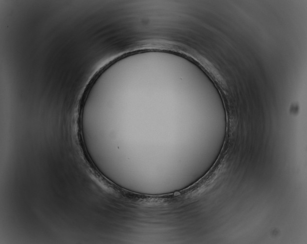 X0000102820846200809081129