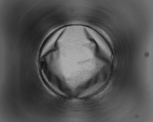 X0000102820847200809081129