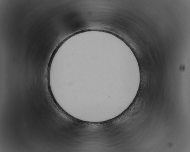 X0000102820848200809081129