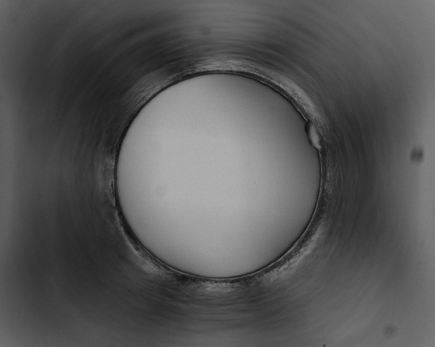 X0000102820849200809081129