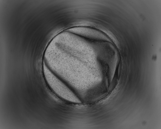 X0000102820850200809081129