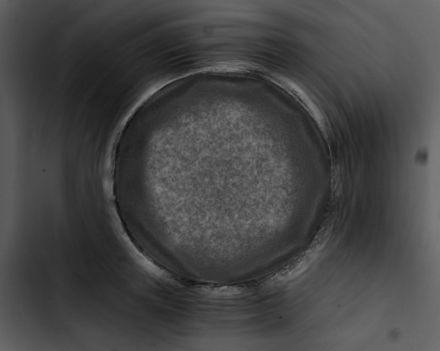 X0000102820851200809081129