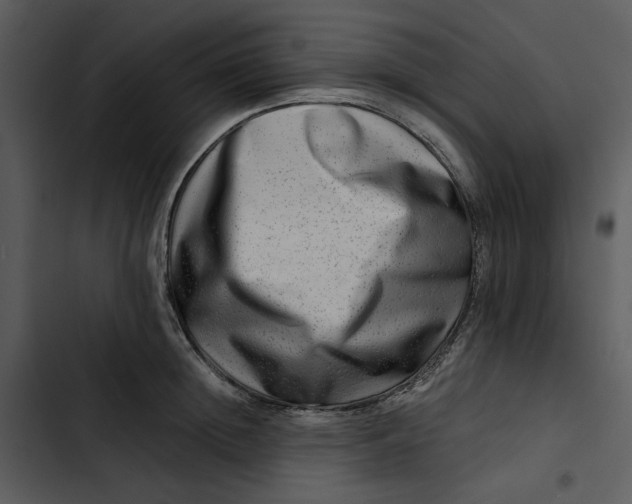 X0000102820852200809081129