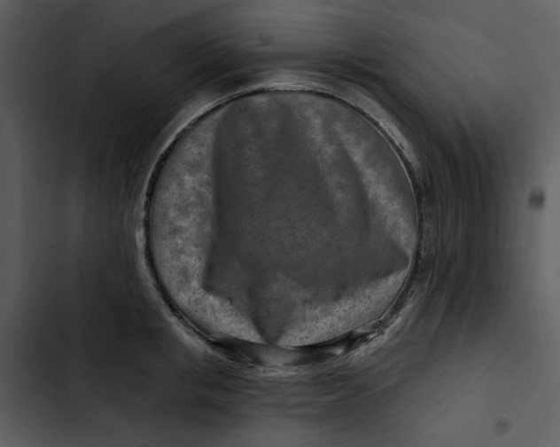 X0000102820853200809081129