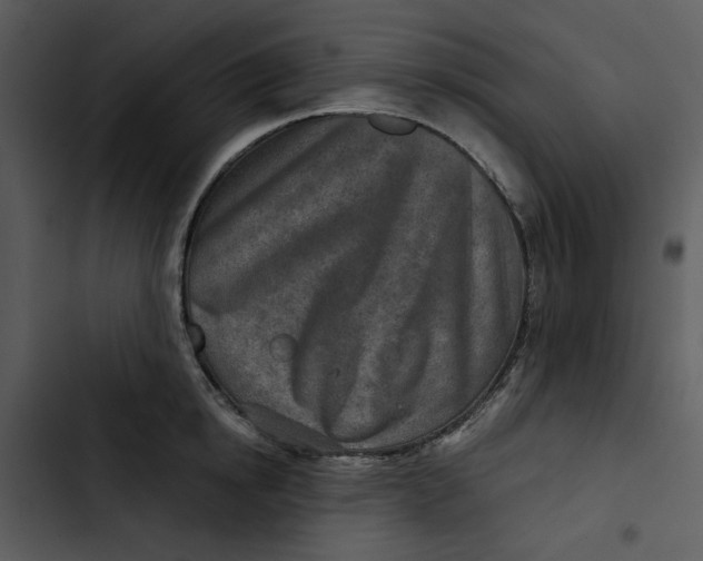 X0000102820854200809081129