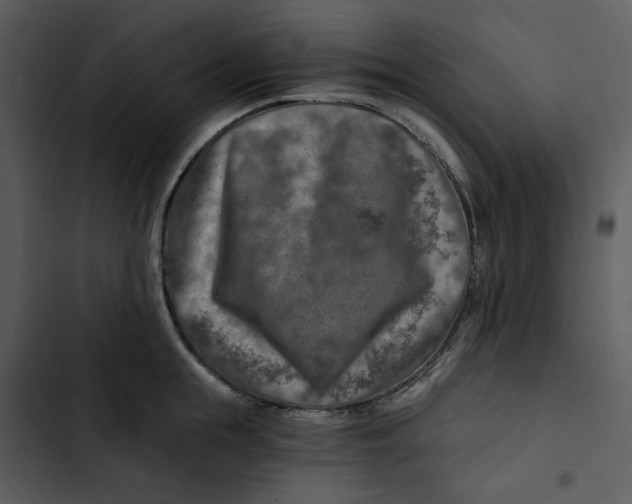 X0000102820855200809081129