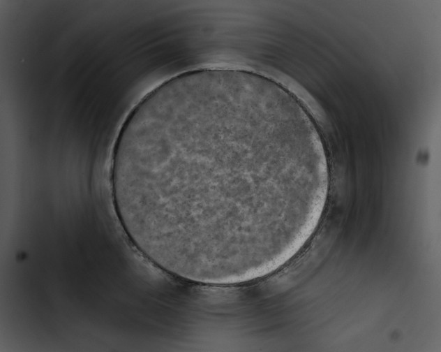 X0000102820856200809081129