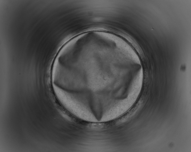 X0000102820858200809081129