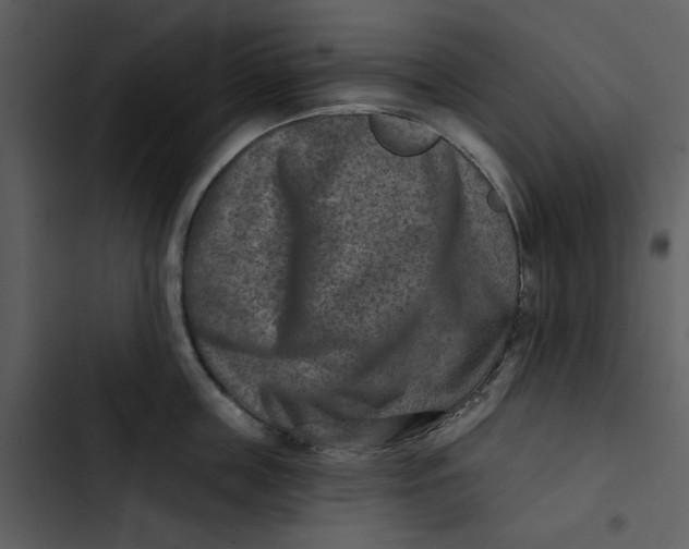 X0000102820859200809081129