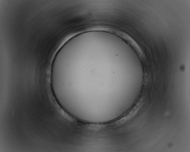 X0000102820860200809081129