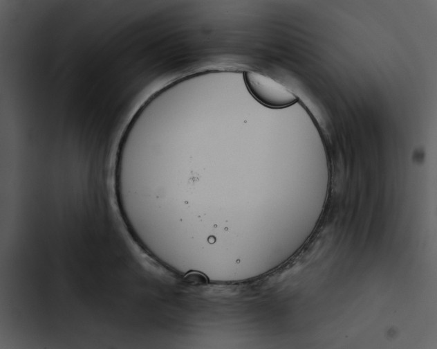 X0000102820861200809081129