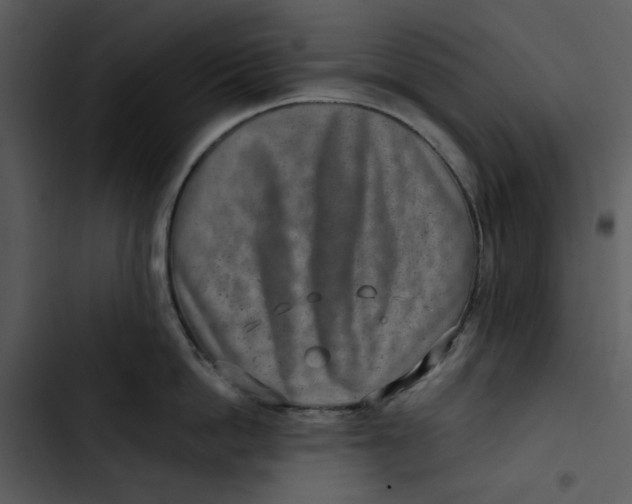 X0000102820862200809081129