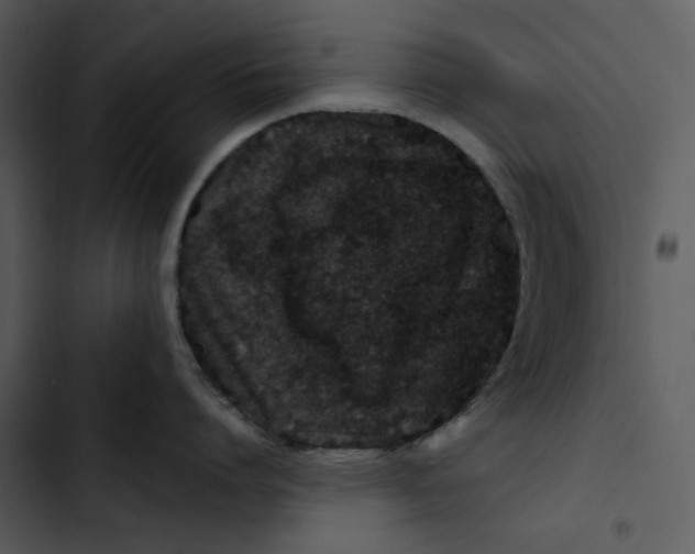 X0000102820864200809081129