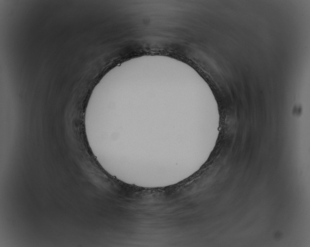 X0000102820865200809081129