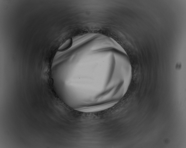 X0000102820866200809081129