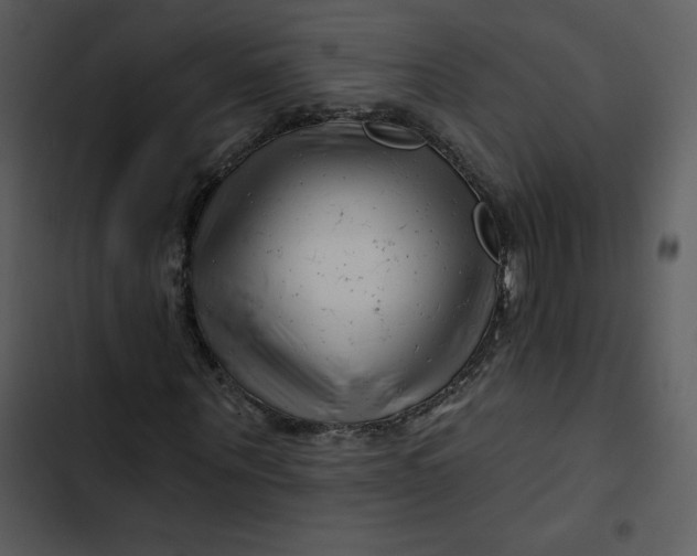 X0000102820867200809081129