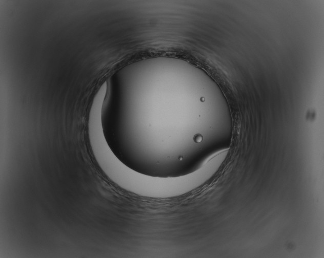 X0000102820868200809081129