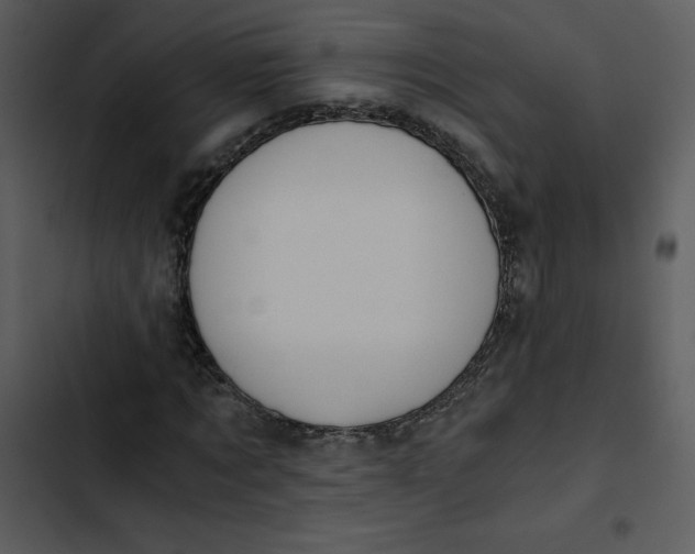 X0000102820869200809081129