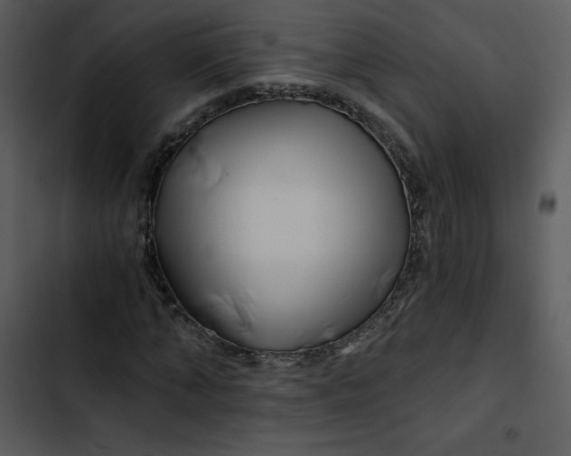 X0000102820870200809081128