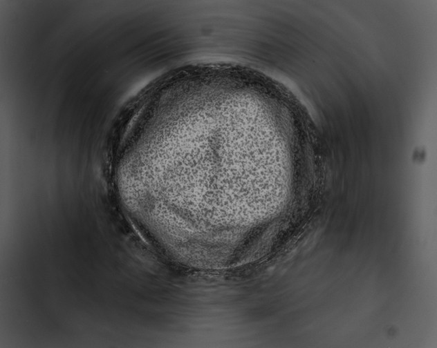 X0000102820871200809081128