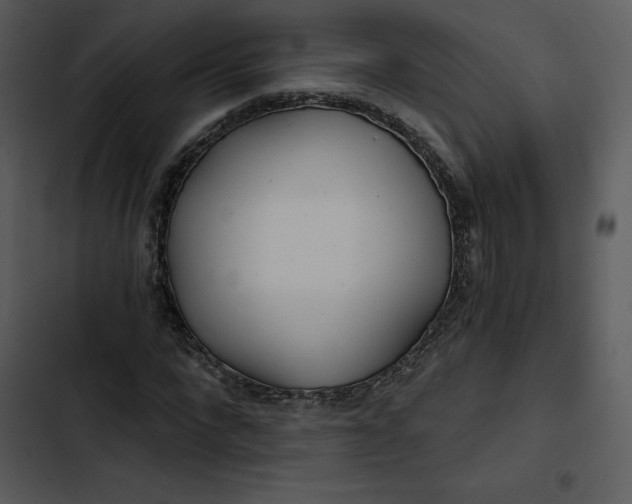 X0000102820872200809081128