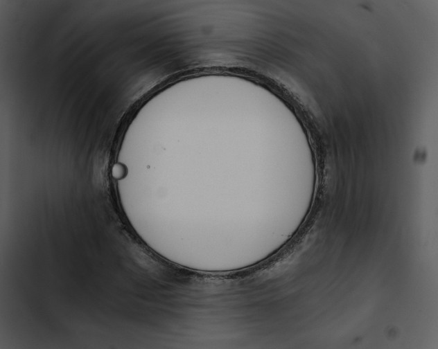 X0000102820873200809081128