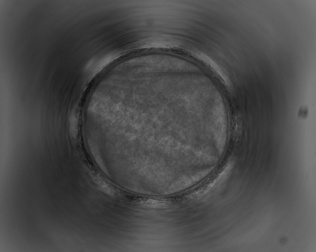 X0000102820874200809081128