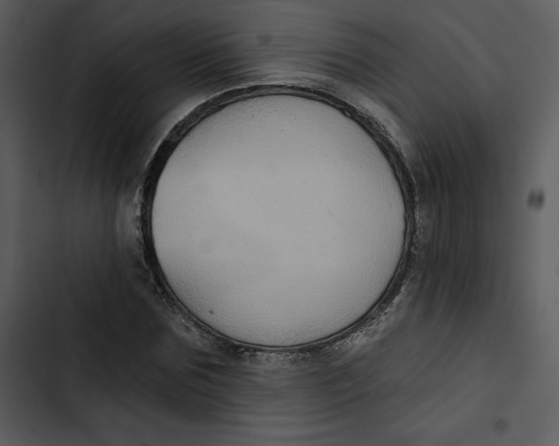 X0000102820875200809081128