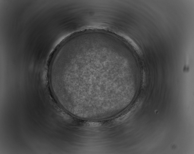 X0000102820878200809081128