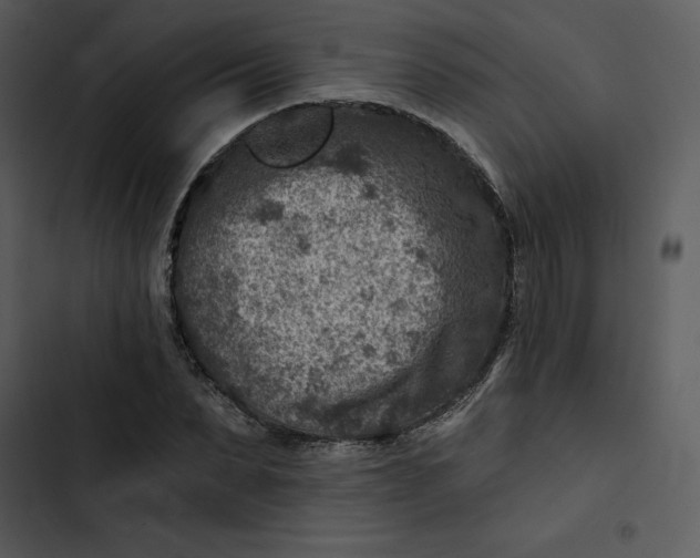 X0000102820879200809081128