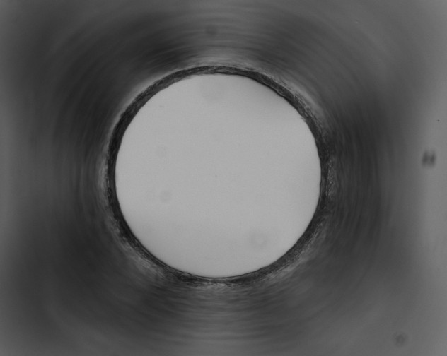 X0000102820880200809081128