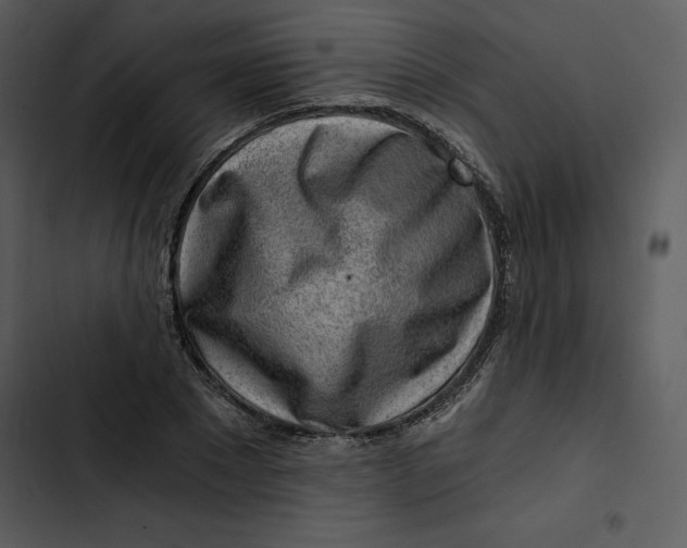 X0000102820881200809081128