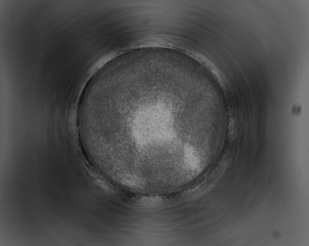 X0000102820882200809081128