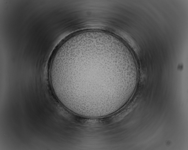 X0000102820883200809081128