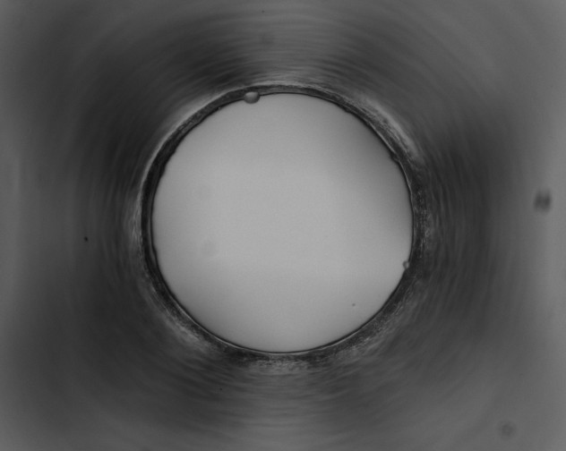 X0000102820884200809081128