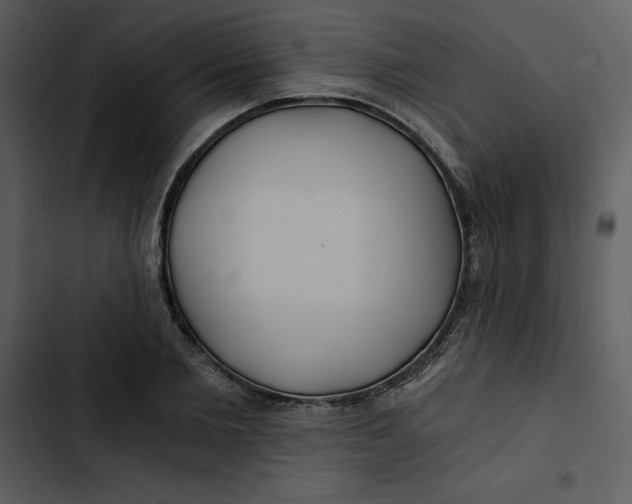 X0000102820885200809081128