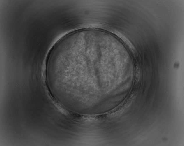 X0000102820886200809081128