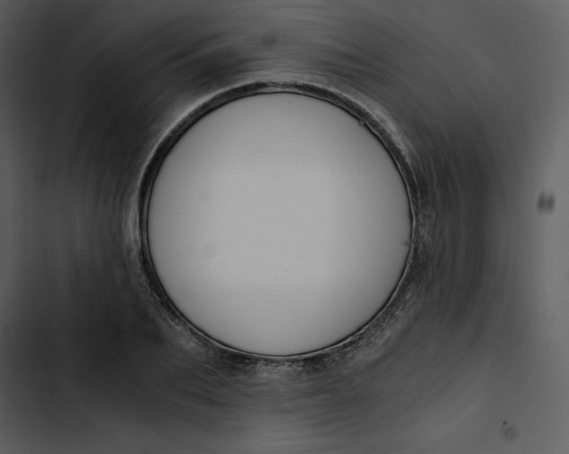 X0000102820887200809081128