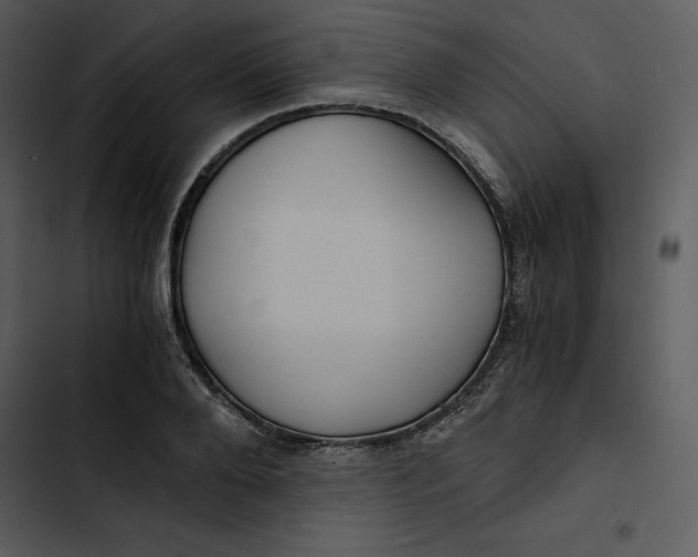 X0000102820888200809081128