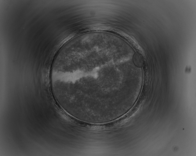 X0000102820889200809081128