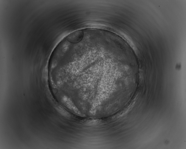 X0000102820891200809081128